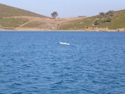 Törn 2006