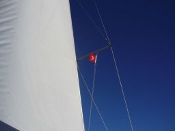 Törn 2006