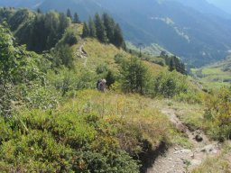 2014 Grosswalsertal