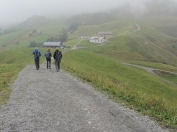 2014 Grosswalsertal