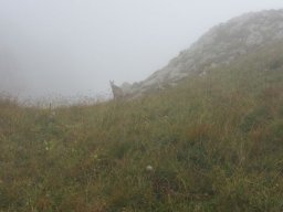 2014 Grosswalsertal