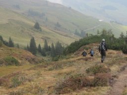 2014 Grosswalsertal