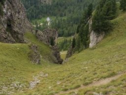 2016 Rosengarten