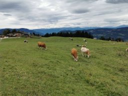2024 SeiserAlm